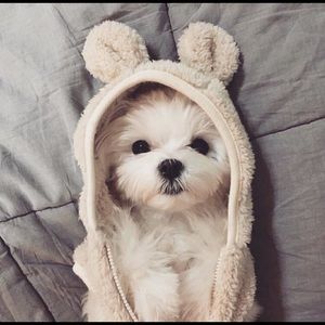 Meet your Posher, Tiffany.